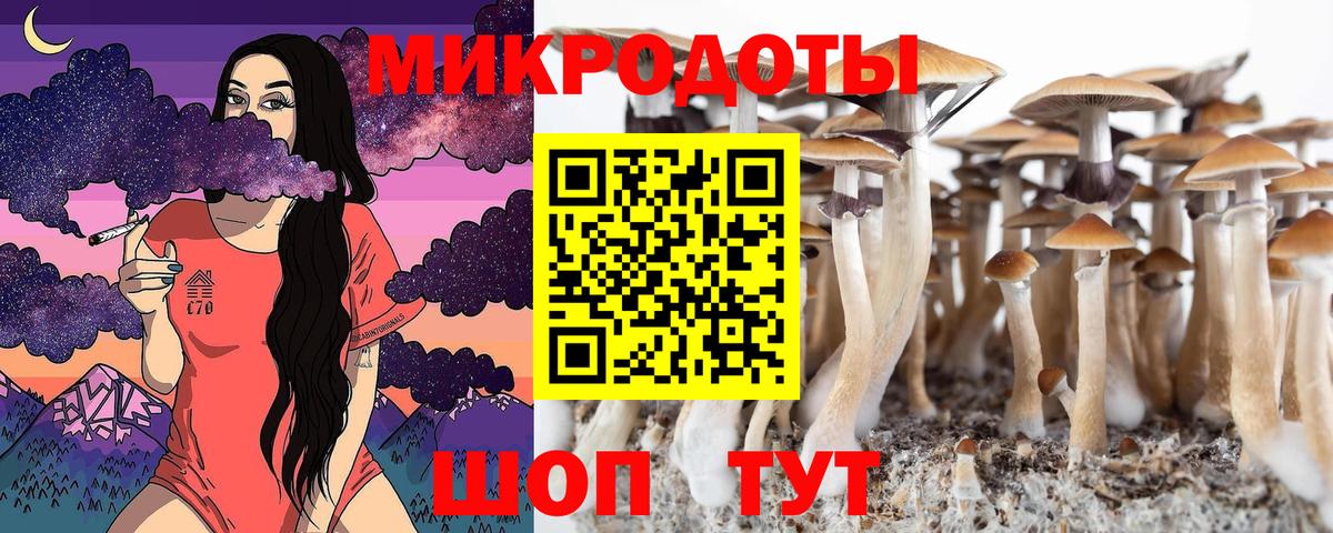 Псилоцибиновые грибы мухоморы Калуга