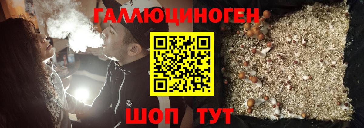 Псилоцибиновые грибы MAGIC MUSHROOMS  Вход с VPN  Калуга  купить закладку  Псилоцибиновые грибы MAGIC MUSHROOMS 